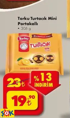 TORKU TURTACIK MİNİ PORTAKALLI